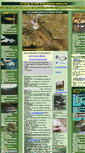 Mobile Screenshot of flyfishingsmokymountains.com